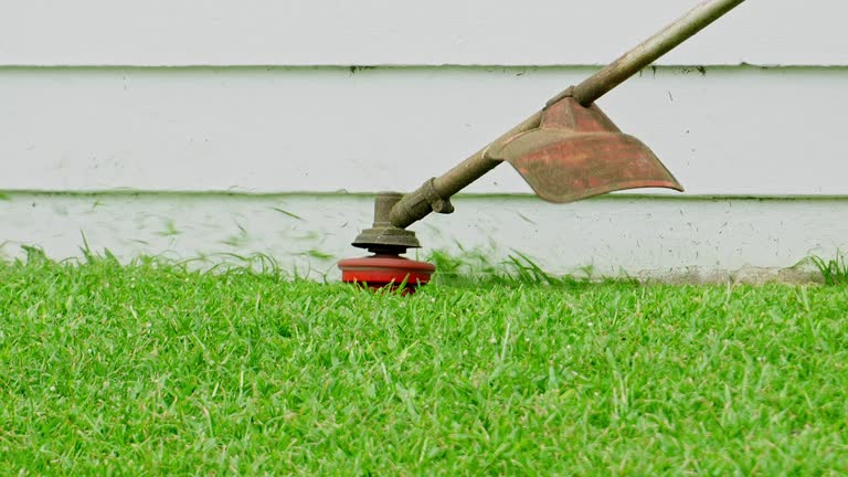 Best Lawn Mowing  in Scobey, MT