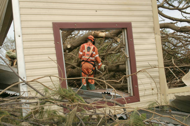 Best Tree Cabling and Bracing  in Scobey, MT